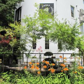 Penke Panke Lodge and Apartments, hotel em Hakuba