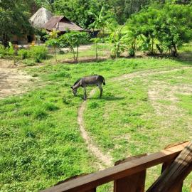 Rancho Santiago Ecotour، فندق في زيبوليت
