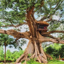 Wassado Cultural Lodging, Hotel in Cap Skirring