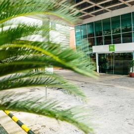 ibis Styles Manaus - Hospede-se no Centro Histórico, a 15 min do Centro de Convenções do Amazonas，位于马瑙斯的酒店