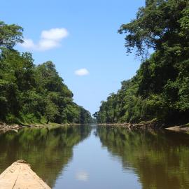 Tour Pacaya Samiria - Inmersión total junto a guía local, hotel i Nauta