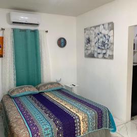 The Golden Apple Cozy 1BR Apartment in Antigua, hotell i Buckleys