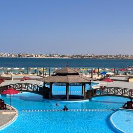 Lagoon Tibarose