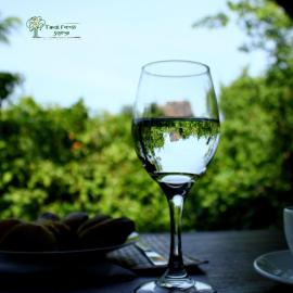 The Thick Forest, hotel en Sigiriya