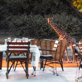 Gabus Safari Lodge, hotel in Otavi