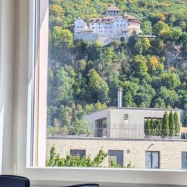 Vaduz Castle View Apartment in City Center with balcony and parking, hotel in Vaduz