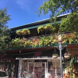 Park Plaza Hotel Orlando - Winter Park, отель в Орландо
