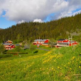 Grønolen Fjellgard โรงแรมในไบโทสโตล