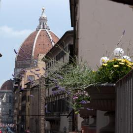 Hotel Balcony, Hotel in Florenz