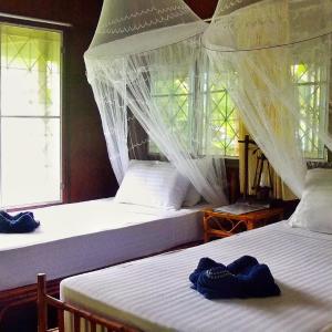 Standard Bungalow (2 Adults)