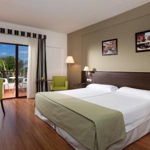 Double or Twin Room with Mountain View