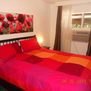 Single Suite