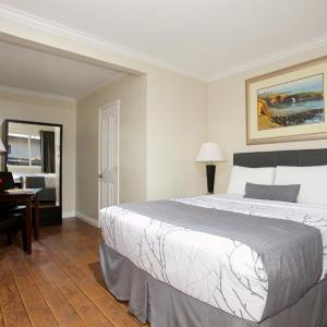 Pet friendly Courtside Room with 1 Queen Bed