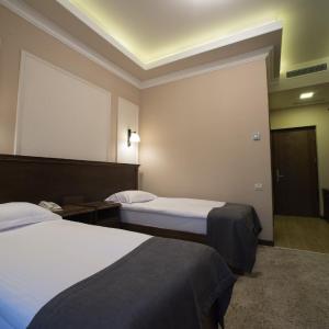 Deluxe Double or Twin Room with Garden View