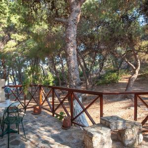 Double or Twin Room with Forest View
