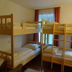 Bunk Bed in Mixed Dormitory Room