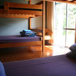 Bed in 6-Bed Mixed Dormitory Room