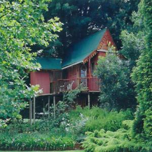 Bottle Treehouse