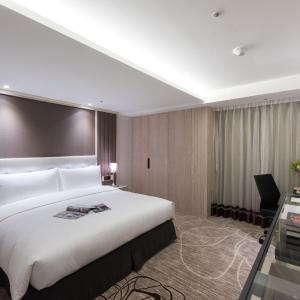 Eco-Friendly Double Room with No Window