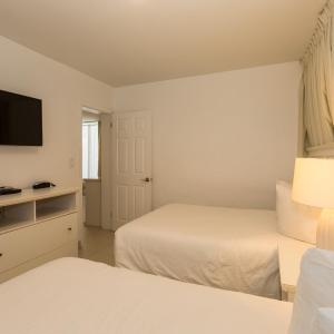 Suite (4 Adults)