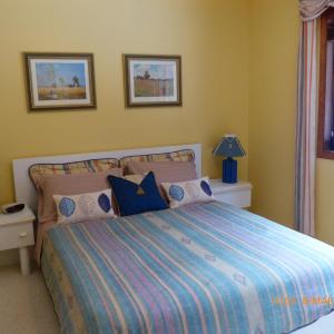Queen Room with Forest View