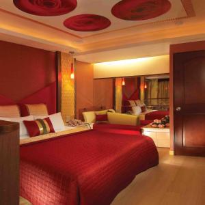 Standard Double Room with Garage