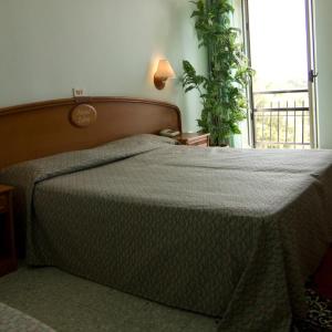 Double or Twin Room with Sea View