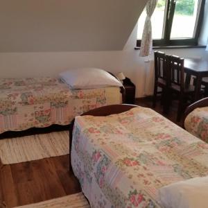 Quadruple Room with Private Bathroom
