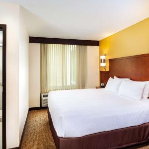 King Room with Sofa Bed and Roll-In Shower - Disability Access