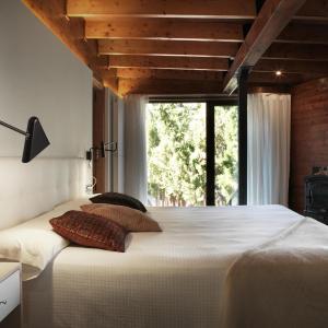 Junior Suite with Terrace