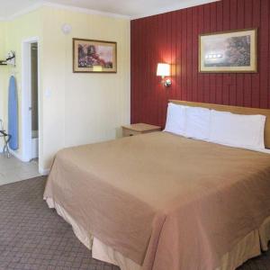 King Room - Non-Smoking