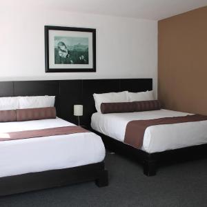 Junior Suite (4 Adults)