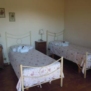 Twin Room - Disability Access