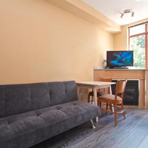 King Studio with Sofa Bed