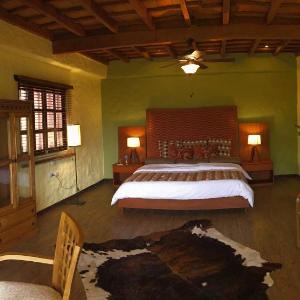 Junior Suite with Terrace