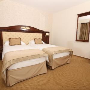 Superior Double or Twin Room 4****