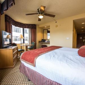 Suite - Pitkin