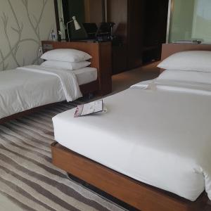 Superior Twin Room with City View
