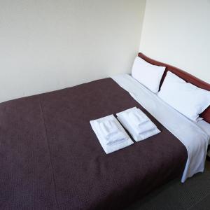 Double Room - Non-Smoking 