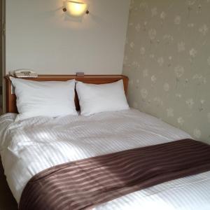 Double Room - Non-Smoking 