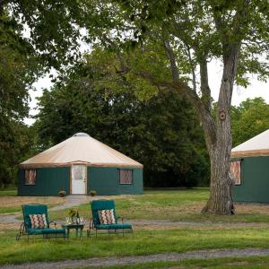 Oneida (Glamor Camping Yurt)