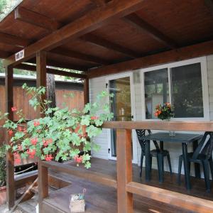 One-Bedroom Bungalow