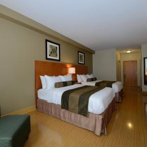 Queen Room with Two Queen Beds