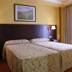 Twin Room - Disability Access