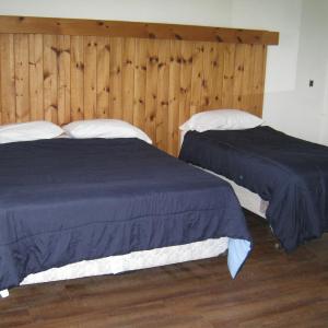 One-Bedroom Suite - Birchgrove 11