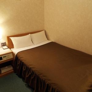 Standard Double Room - Non-Smoking