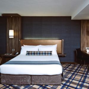 Deluxe King Room Smoking