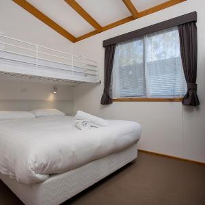 Superior Two-Bedroom Cabin (Queen & Double)