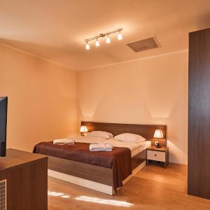 Luxury Apartment