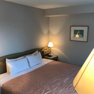 Deluxe King Double Room - Smoking